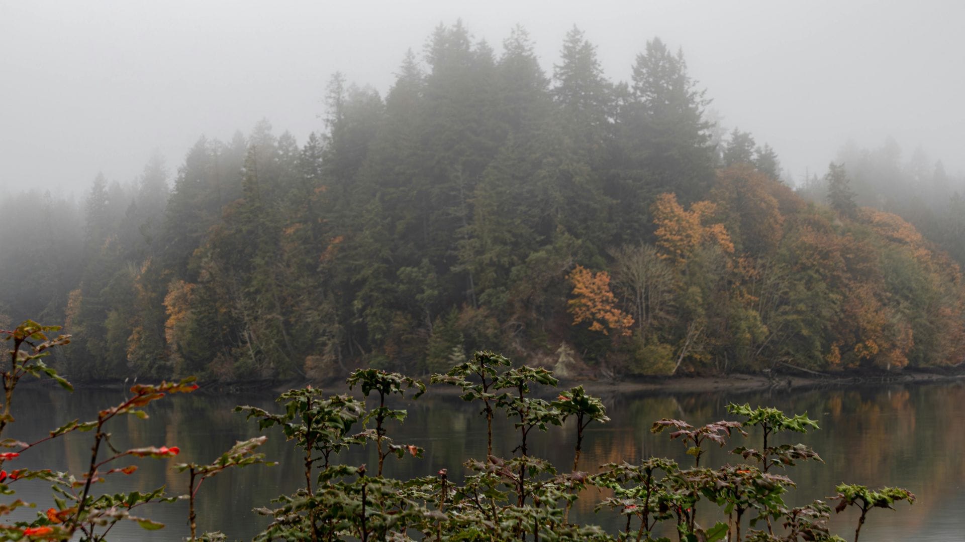 services in northern Utah