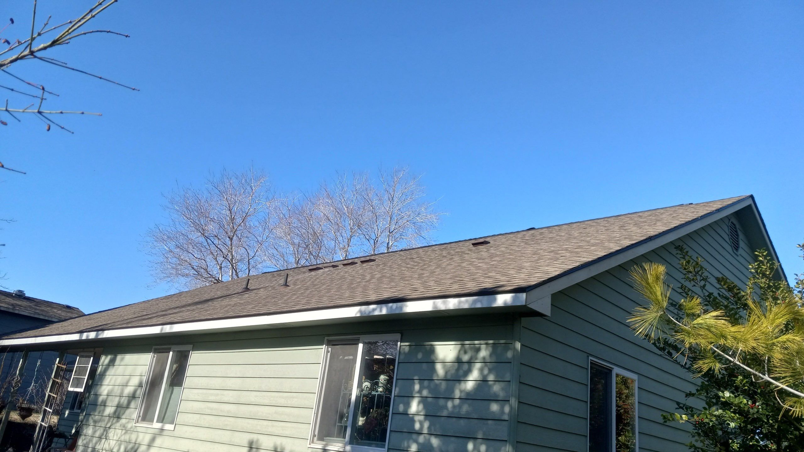 kennewick Project Cover